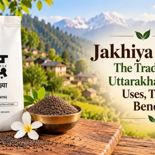 Jakhiya Seeds: The Traditional Uttarakhand Spice, Uses, Taste & Benefits